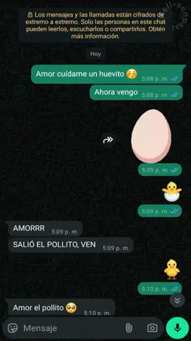 🤣😁Pobre pollito