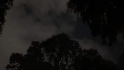 #ابها #fyp #ضيدان_بن_قضعان 