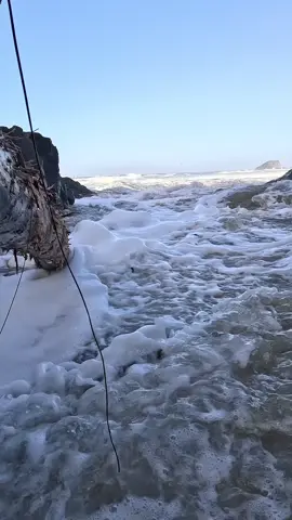 The sound is so beautiful at the end 🙌 #ocean #waves #oregon #oregoncoast 