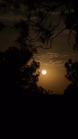 الا ليت بالي لا يبالي#