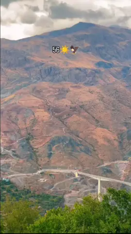 gerilla ✌️🦅🕊️#keşfetteyizzz #beniöneçıkart #beğendik #56 #🦅 