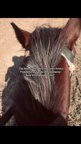 👊🏻💎#repostt #keşfett #partdadun🌹kəşfet🌹bəyən🌹 #keşfetbeniöneçıkar #👋🏻 