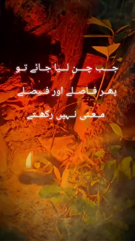 #جھولےلعل۔مست۔قلندر #🚩🚩🚩🚩🚩🚩🚩🚩🚩🚩 #foryoupage 