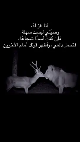 هو مر على القلب غفله غزاله