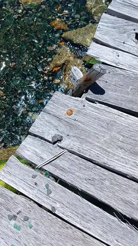 #paratii #viajes #fypシ゚ #fyp #karma 