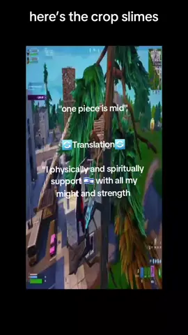 #fyp #slander #onepiece #animefyp #anitok 