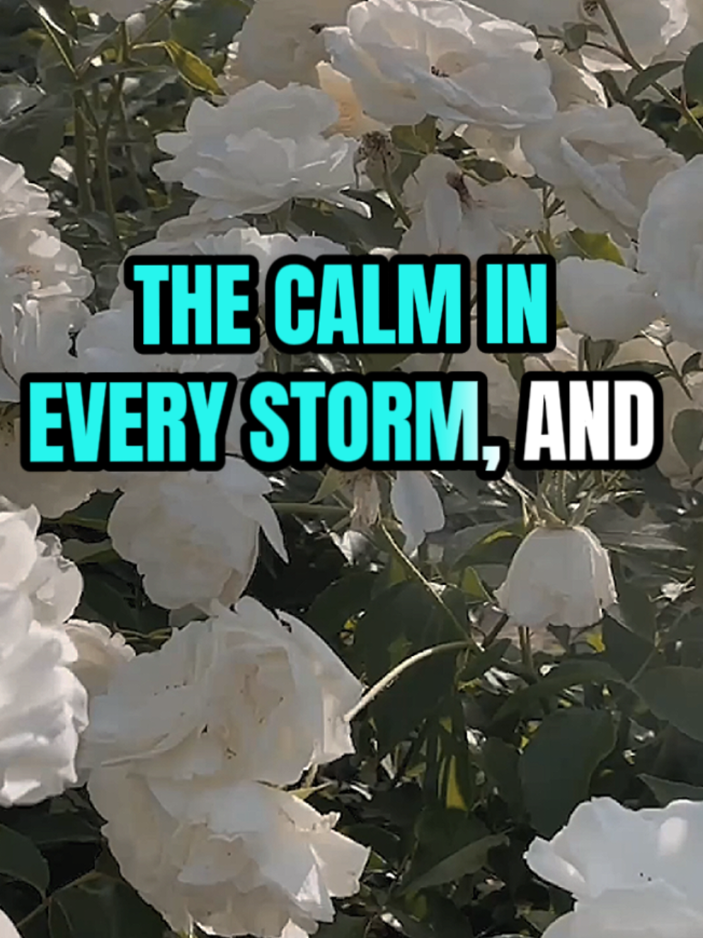 My dear wife I love you more than words can exprise. #mylove #lovequetes #lovemotivation #loveyou #lovequetes 