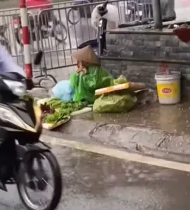 Không ai đếm được bao nhiêu cơn mưa mẹ đã qua, chỉ biết rằng từng giọt mưa là từng giọt mồ hôi nuôi con lớn khôn #nghilucsong  #chame  #concai  #camdong 