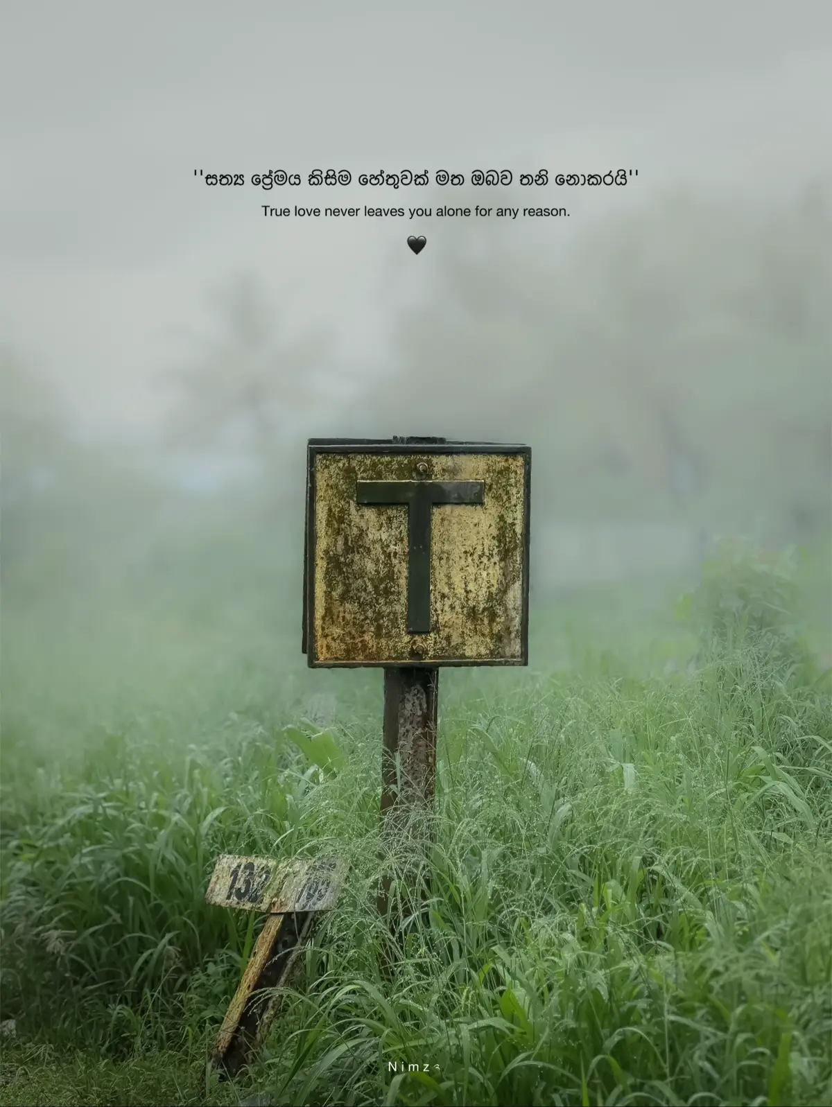 #quotes #aesthetic #foryou #photography 