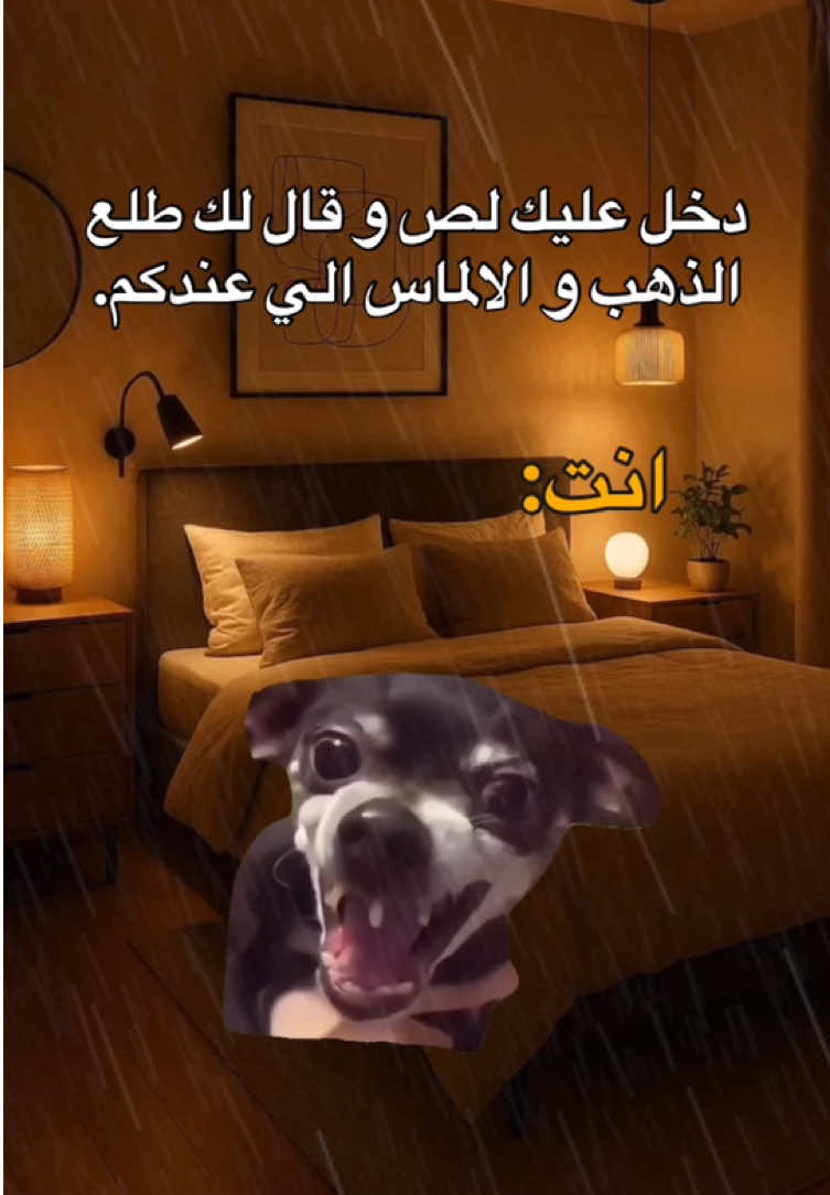 تخيل تصير🤣🤣🤣.  #fyp #viral #explore #الشعب_الصيني_ماله_حل😂😂 #مالي_خلق_احط_هاشتاقات 