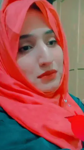 #🌹🌹🌹🌹🌹🌹🌹🌹🌹🌹🌹🌹🌹🌹🌹🌹🌹🌹🌹🌹🌹🌹🌹 