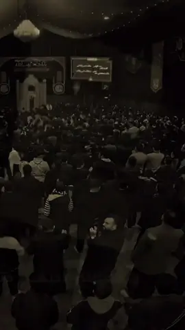 #CapCut #محمد_الجنامي #باسم_الكربلائي #سيد_فاقد_الموسوي #مرتضى_حرب 