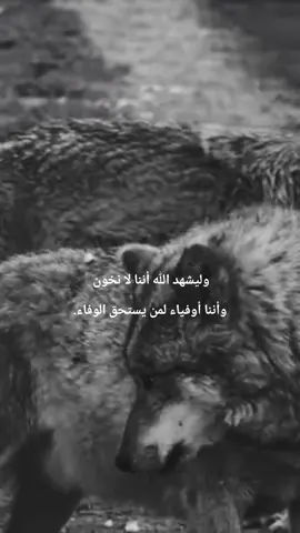 #fypage  -#fypシ゚ 