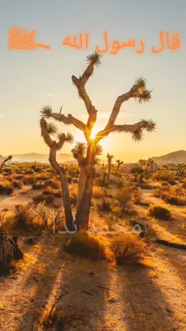 #قال رسول الله  _ﷺ#خمس ليس لهن كفارة,