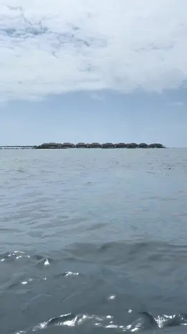 vrilliant#271 #mossad 