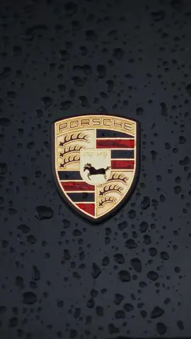 A crest built to move 🐎 @Porsche  #porsche #porsche911 #porschelife #porscheclub #porschefans 