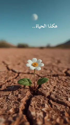 هكذا الحياة 🌱#altafawu #الحمدالله 