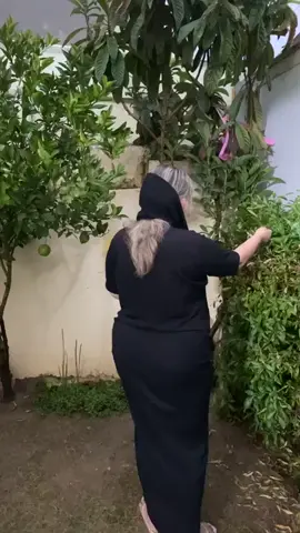 #سۆران_كۆیە_دەهۆک_ڕانیه_کەرکوک_هەڵەبجە 