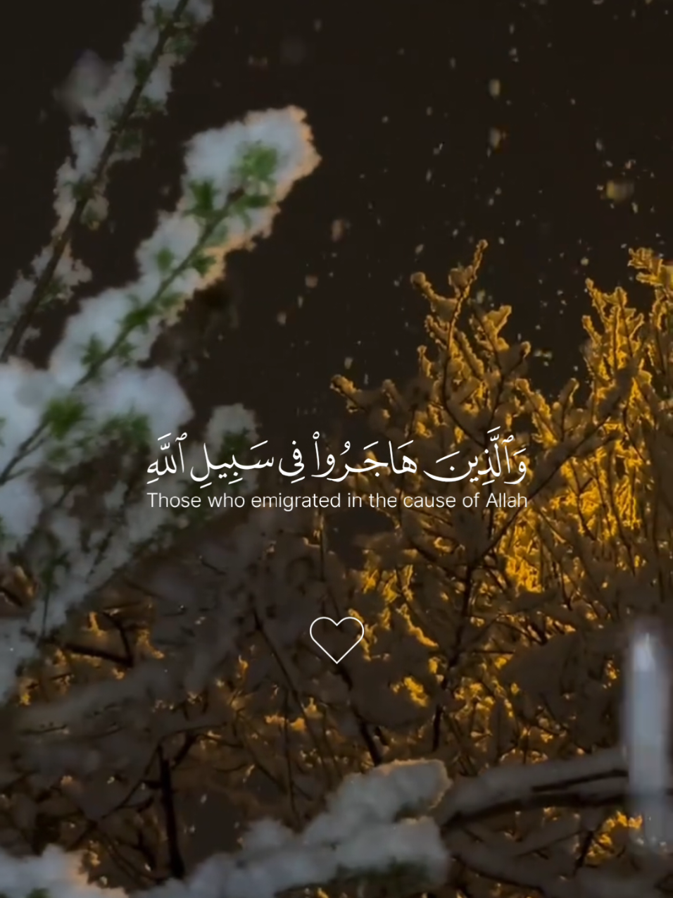 لاتسوي سكب وارح قلبك 🤍🎧 #ياسر_الدوسري #سورة_الحج #قران #quran8alkarem #quran 