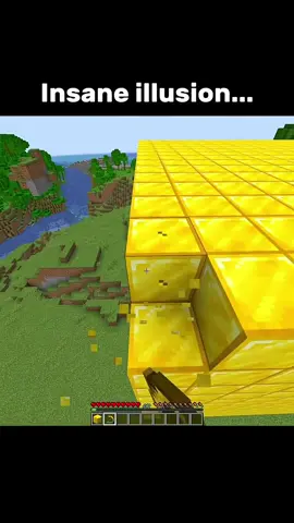 Is this a new insane illusion? Who’s done this before? #Minecraft #illusion 