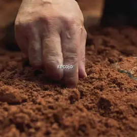 #TikTokFilmTVCompetition #filmbreaker #moviereview #usmovies