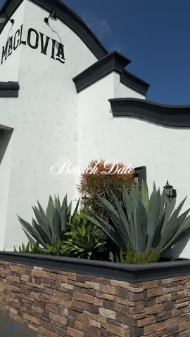Brunch Dates 🙂‍↔️💕 >>  #paratiiiiiiiiiiiiiiiiiiiiiiiiiiiiiii #paratii #losangelesrestaurants #losangeleslife 