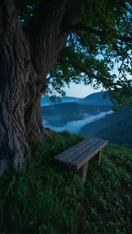 quotes#story #storyharian #viral #motivation #fyppppppppppppppppppppppp 