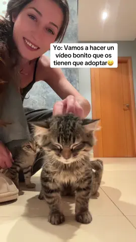 No me explico cómo aún no tienen casa😔   #adopcion #gatos #gatitos #buscocasa #mascotas 
