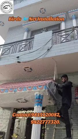 Birds 🐦 Net Installation For Service Booking Contact Us  9815120082,9822777320. #allinonecleaningservice #bird #pestcontrol #pokharamuser #ktm 