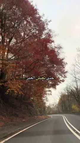 فجأة يظهر شخص في حياتك @love.travel17  @love.travel17  @love.travel17 