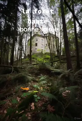 #creatorsearchinsights #paranormal #creepypasta #mystery #tiktoktips 