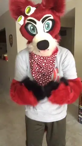 #furry #petethefox #furrytiktok #onthisday #furryfandom 
