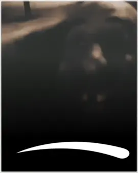 #funnyvideo #funny #fyp 