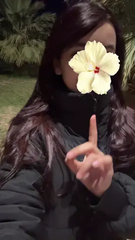 #دليل_الصيف #السعوديه #شتاء #مسك المطرفي 💐💐