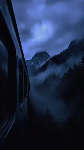 Part37 #dark #nature #forest #song 