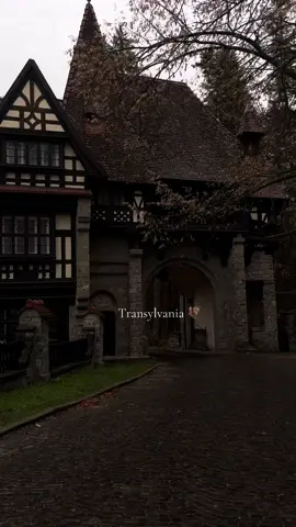 Fall? Transylvania, without a doubt #transylvania #fall #nosferatu #dracula #wheretovisit 