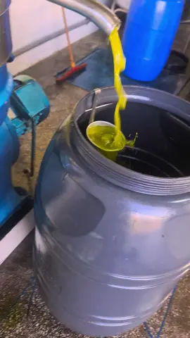 #LIVEIncentiveProgram #LIVECanBeEasy #PaidPartnership 