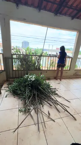 Podarsao da minha esposa  #viral #casal 