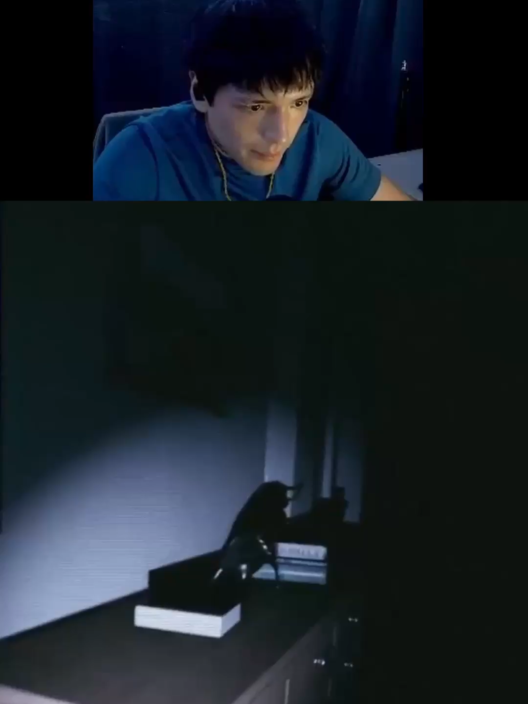 insta: ippoclip #kick #humor #ippoclip #fyp #chile