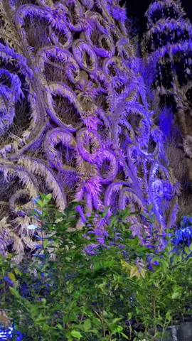 sholawat @santri kendil official @Festival Kebonkliwon             #sholawatmodern #santrikendilpurworejo #fypage #videoviral #viraltiktok 