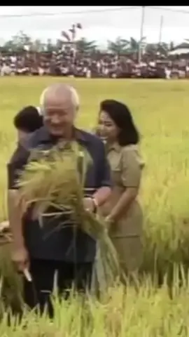 #ceritazamandulu #zamandulu #soeharto 