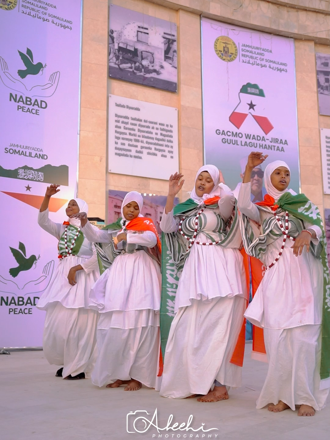 #somalilandtiktok💚🤍❤#abdirahmanaleeli #dadaalawuugadha #photoshoot