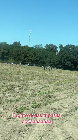 #parati #trabajosdelcampo #adisantos 