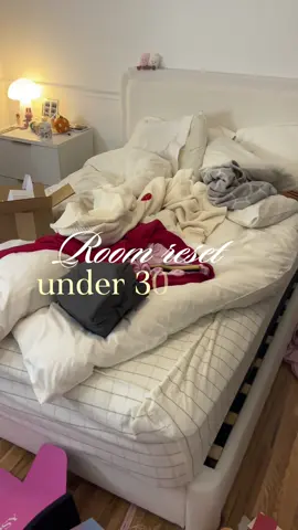 should I decorate my room for christmas or is it too early??☺️☺️ #roomreset #cleaningtiktok #cleanroom #sundayreset #chicagoinfluencer @Jellycat @Stanley Brand 