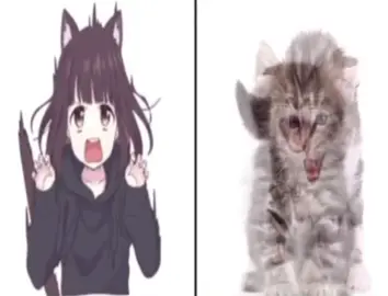 #إيمي_المطيري #اكسبلورexplore #foryou #4u #fyp 