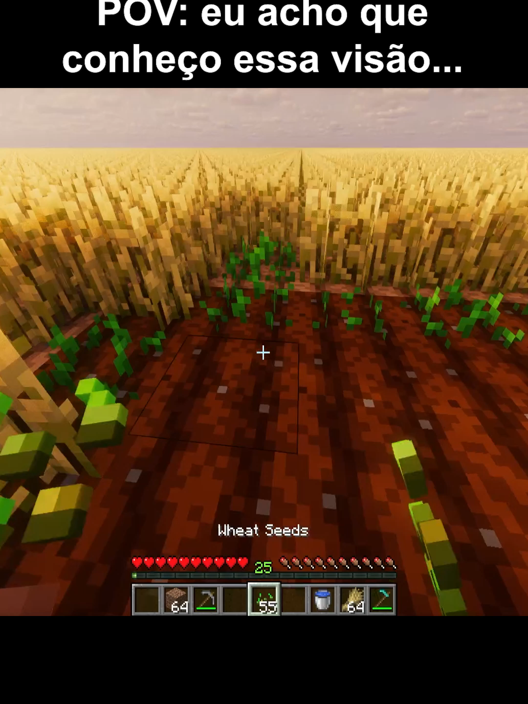 senti até um djavan... #clips #Minecraft #curiosidades #minecraftbedrock #jogandomine #mods #minebr #fenyx #edit #nostalgia #fogoqueimado #bedrock #minecraftmemes #foryoupage❤️❤️ #fyp #jogos #java #esconderijo #trap #minigames