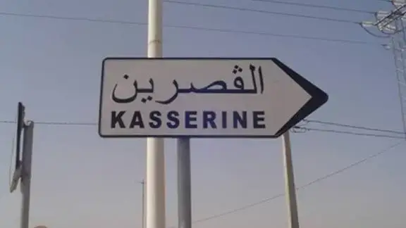 #القصرين_الأرض_الحرشة_تونس🇹🇳_الجزائر🇩🇿 #تونس_المغرب_الجزائر #سبيطلة_ولاية_الڨصرين #فوسانة_البية🌿🌱😍🥰💎