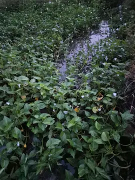 #สัตว์โลกผู้น่ารัก #เทรนวันนี้ 