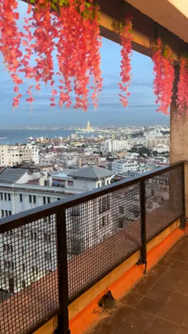 #algiers #views #onthisday #ootdhijab 