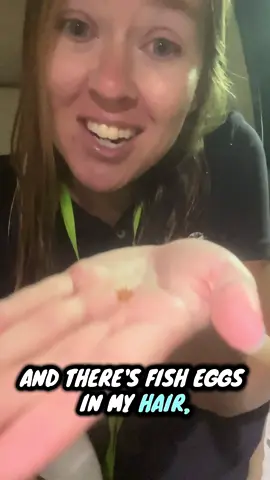 Omg yall 🤦🏼‍♀️ a fish laid eggs in my hair on my dive today! 